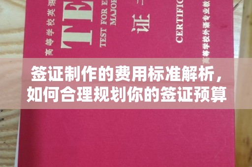 德阳签证制作的费用标准解析，如何合理规划你的签证预算