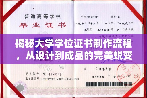 德阳揭秘大学学位证书制作流程，从设计到成品的完美蜕变