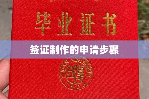 德阳签证制作的申请步骤